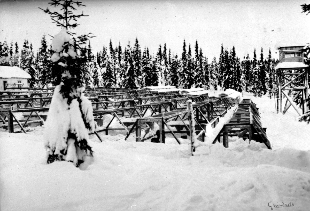 Flyfoto, Ringsaker, Veldre, M. Steens pelsdyrfarm på Gjerdingen, Solsvevegen, Bårdsetmarka, eid av kjøpmann Matheus Steen på Hamar,