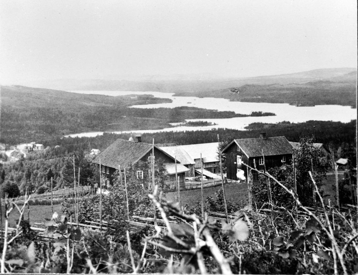 Kvisla gård med Næra i bakgrunnen, Næroset, Ringsaker.
