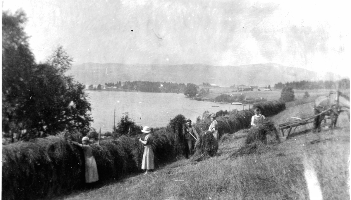 Høyonn i Bakkom, Mengshoel, Nes, Hedmark. Familien Sørbo hesjer høy. Hest med rive som har meier istedenfor hjul. Tangnes i bakgrunnen.