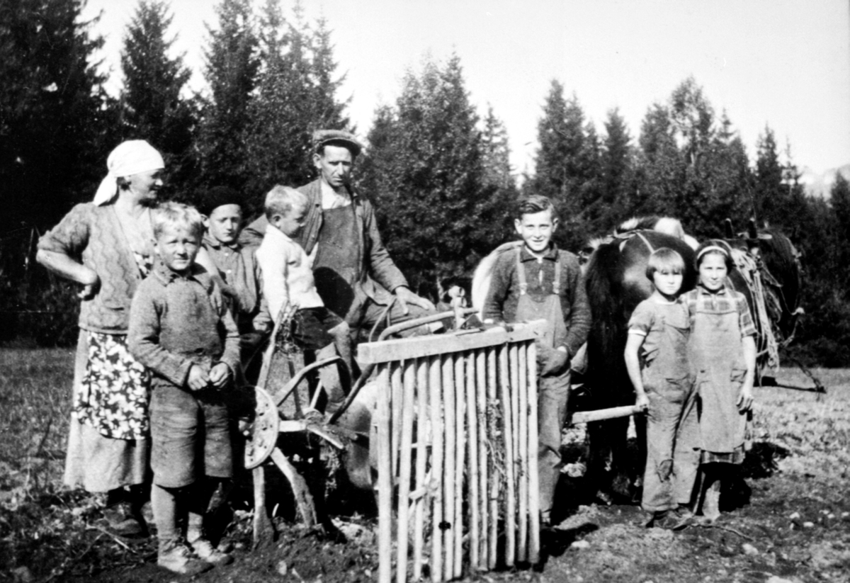 Bildet viser potetonn i Torp (småbruk som Ottar og Anne Marie Aarlien eide på Nes - Hedmark). Fra venstre: Anne Marie Aarlien, Einar Aarlien, Oddvin Aarlien, Svein Erik Aarlien, Ottar Aarlien, Magne Aarlien,  Astrid Aarlien og Ruth Aarlien. Svein Erik er den som sitter på fanget (født 1933), av den grunn er trolig bildet fra ca 1936 ?.