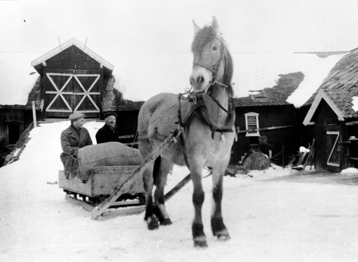 To menn kjører hest med sluffe foran låven i Breistu, Nes, Hedmark.