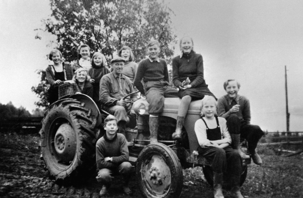 Potetonn på Bangsberg, Ringsaker. Potetplukkere på en Fordson traktor. Anny Skåden, Lisa Røhrsveen, Tore Hermansen, Signe Engum, Nils Røhrsveen, Randi Nilsen, Kari Berg, Knut Røhrsveen, Harry Nilsen, Else Skoden, Odlaug Marie Berg.