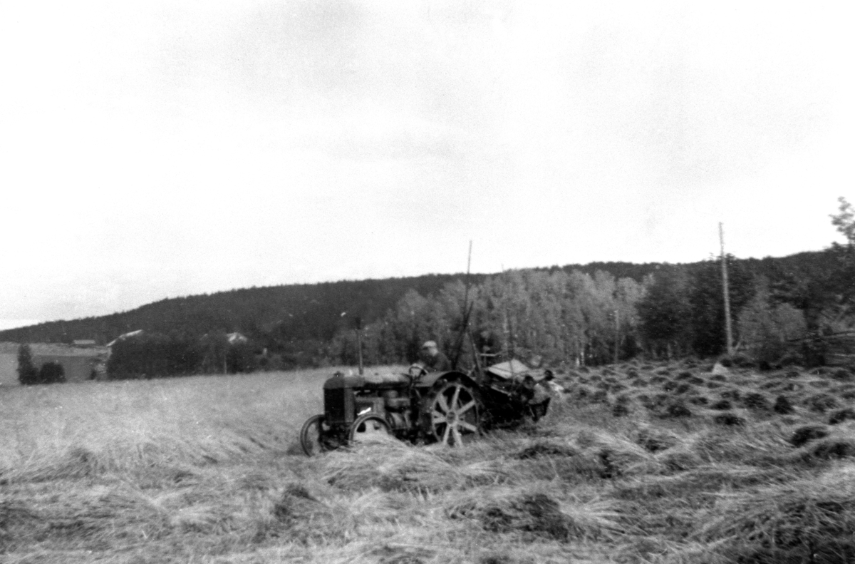 Skuronn på Skjønsby gård, Ringsaker. Fordson jerntraktor med slåmaskin.