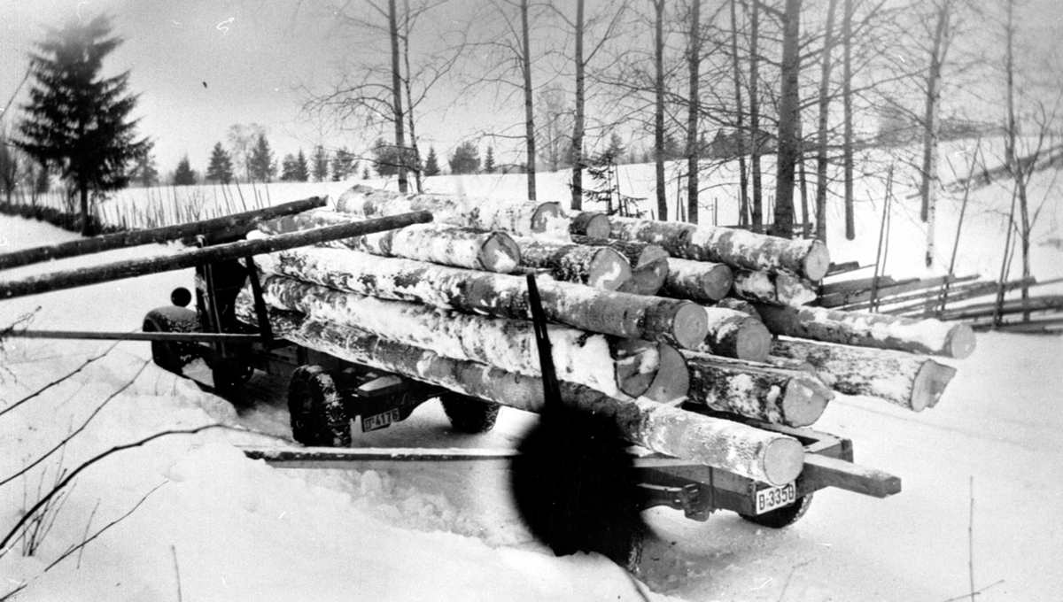 Tømmerkjøring. Lastebil med tømmerlass på Skjønsby, Ringsaker. Vinter.