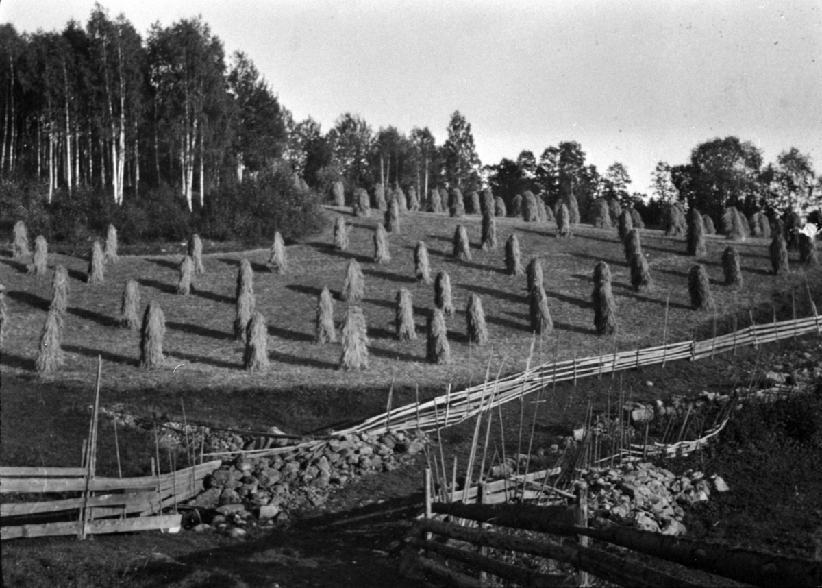 Kornsnes i Røsetåkeren langs gamlevegen, Fossen, Moelv.