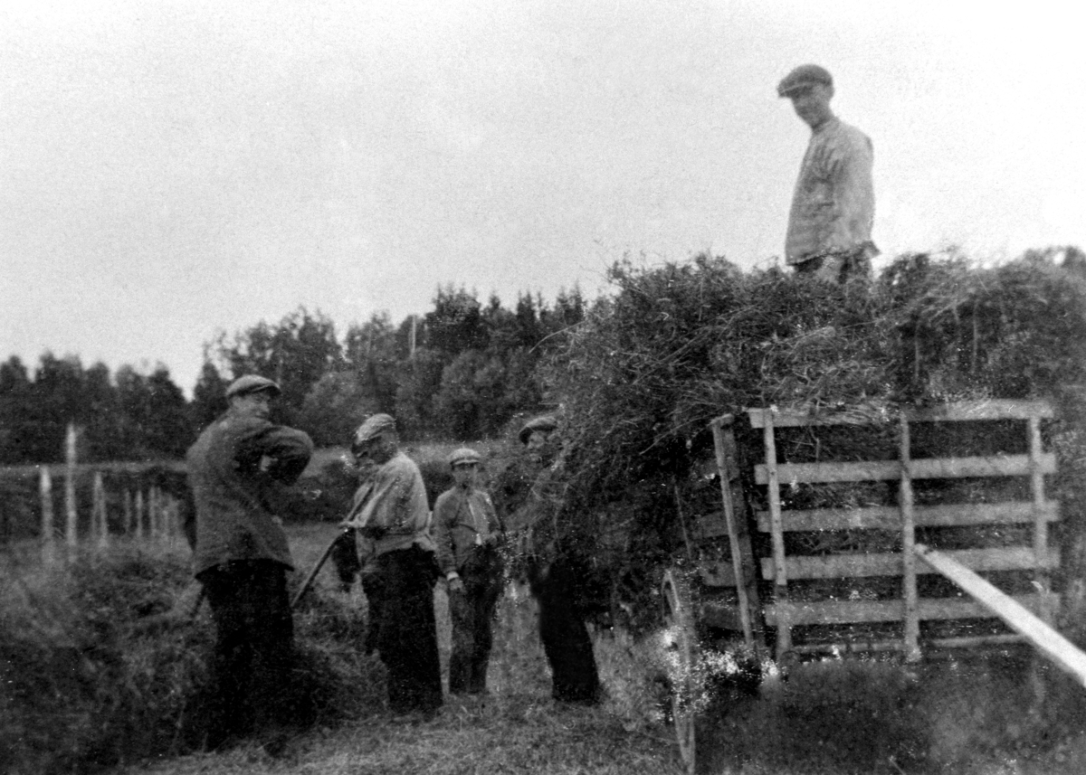 Slåttonn, høykjøring, lessing på høyvogn fra hesjer, folk i arbeid på Dalby gård, Gaupen, Ringsaker.