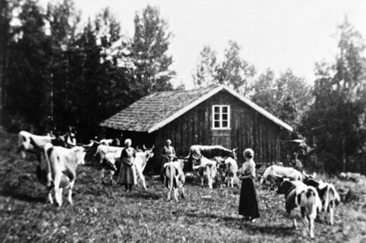 Budeier og buskap på Hangenholen, Brumunddal.