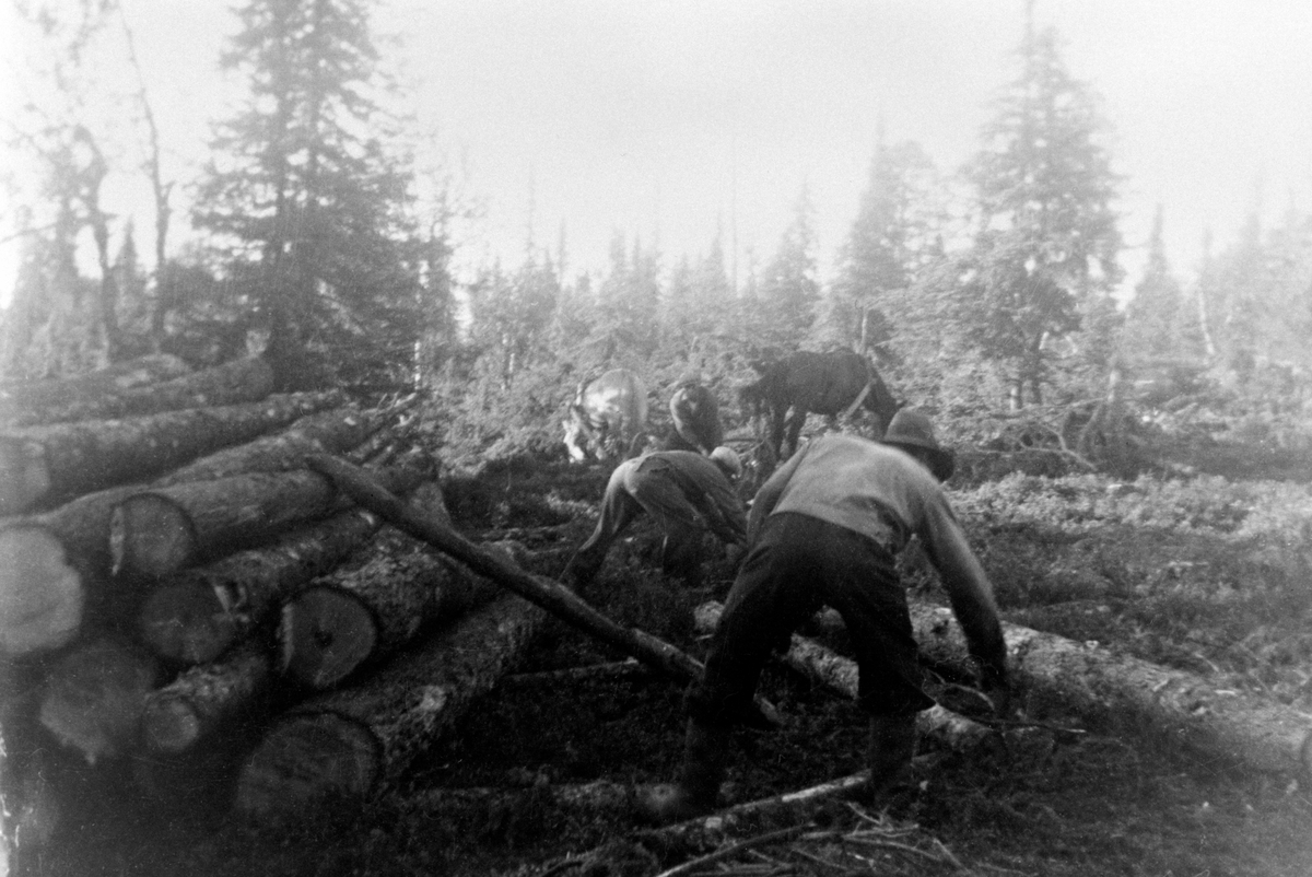 3 mann arbeider ved tømmervelte, lunning med hest, foran er Johannes Sundmyhr, Anders Sundmyhr, Arne Hangenholen, Furnes Almenning.