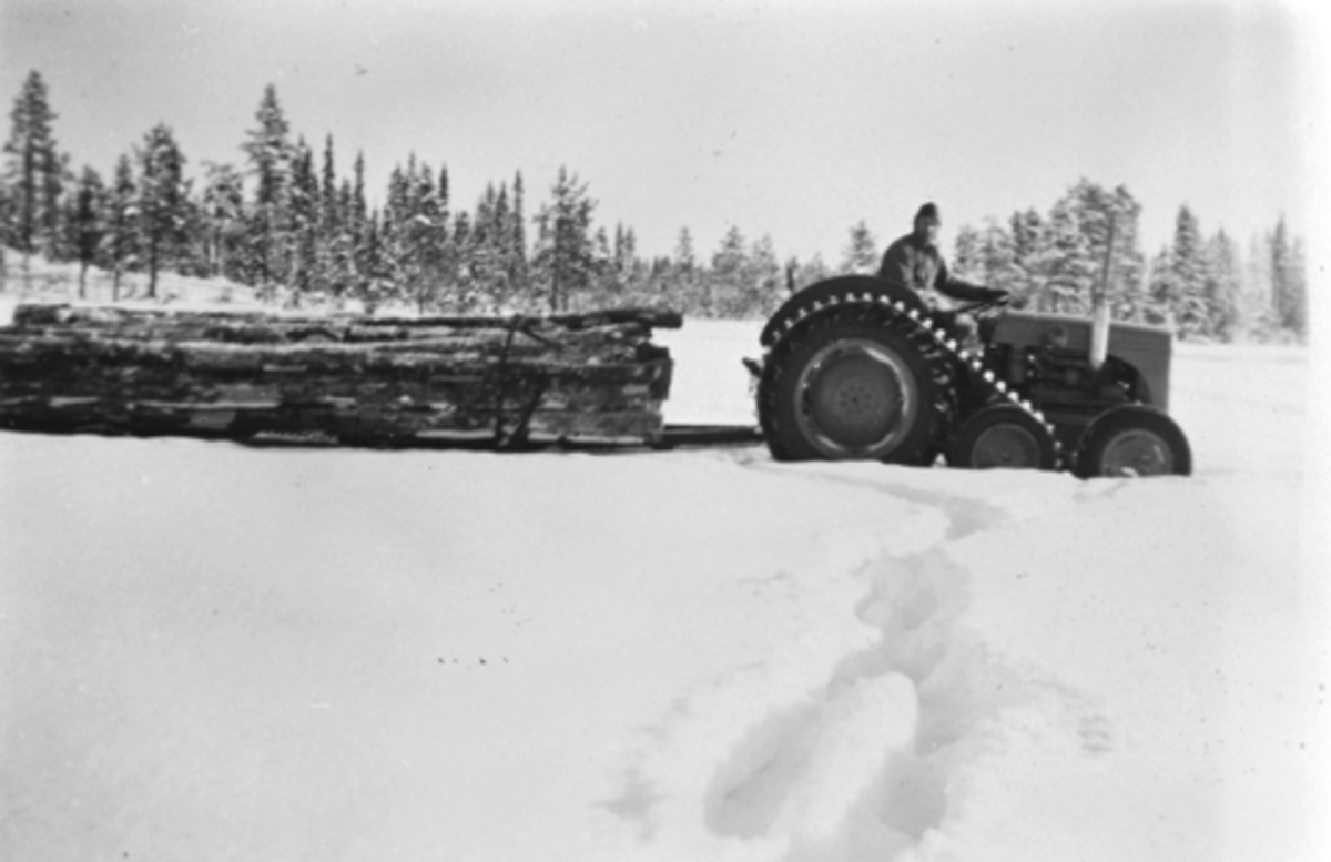 Hans Jonsdal lunner tømmer med beltetraktor i Furnes Almenning.