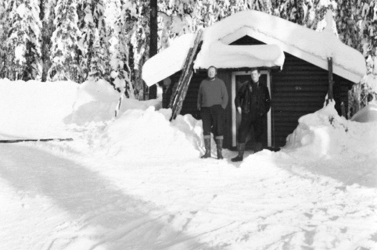 Voldkoia, Furnes Almenning, Birger Volden og Alf Larsen foran.