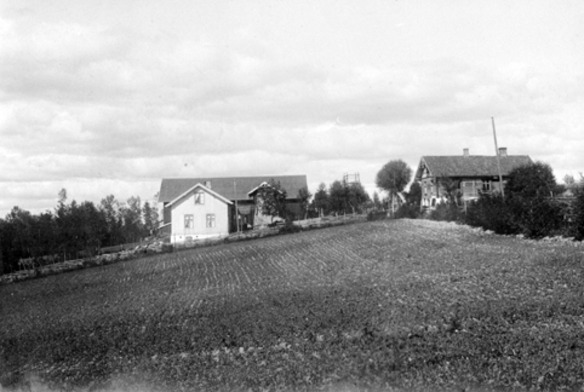 Skredderbakken, Helgøya. Huset til venstre ble bygd i 1860 årene. Her var Helgøyas første landhandel fra 1890-årene, telefonsentral fra 1893 og poståpneri fra 1896. Bygningen til høyre ble byd i 1902 og inneholdt bakeri og landhandel. Brukes i dag som hovedbygning.