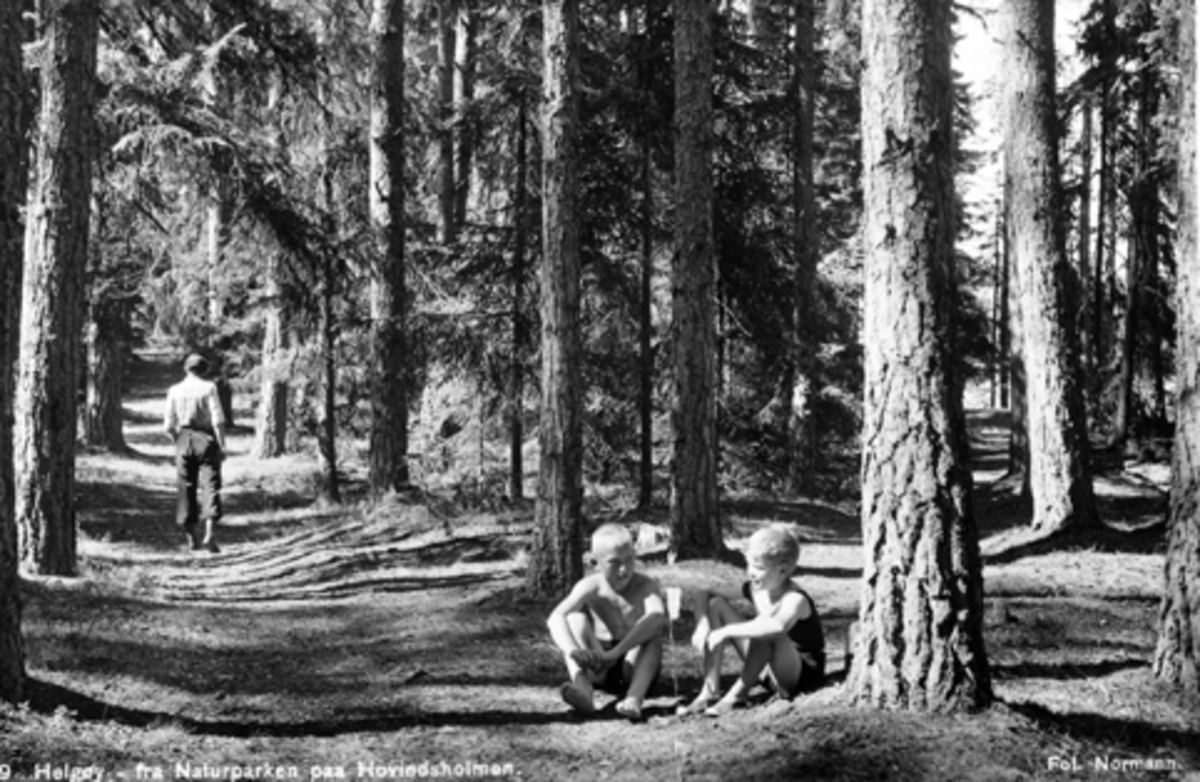 Postkort, Ringsaker, Nes, Helgøya. Hovinsholmen, stien ved gravhaugen som ligger på holmen. Tekst "Fra naturparken paa Hovindsholmen". Ukjent mann og 2 ukjente gutter.