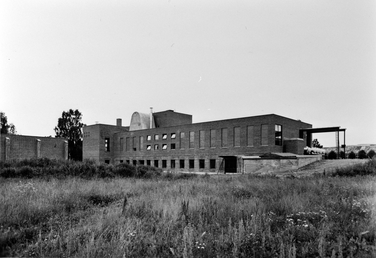 Eksteriør, Hedmark Tørrmelk, Brumunddal, ca. 1960.