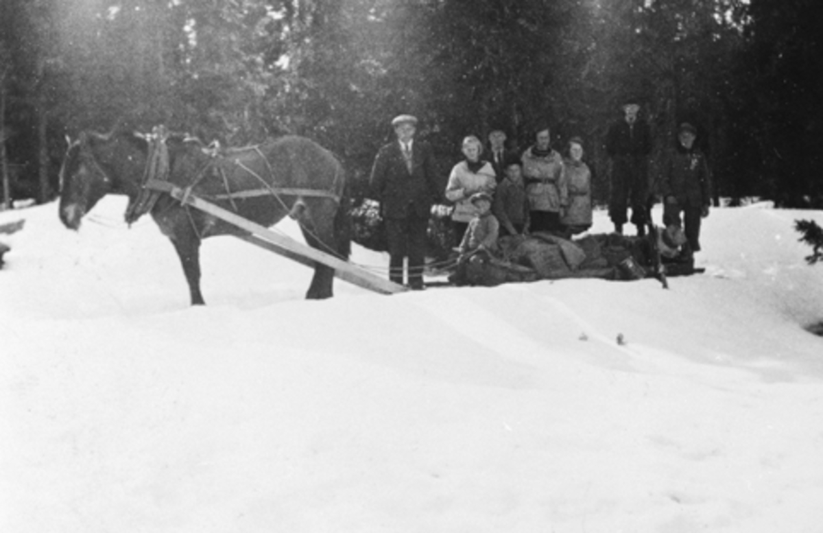 Ni personer fraktes med hest og slede. Påskefeie, Nordvangen, Fuglsengsetra, Ringsaker. Fra venstre ukjent kjørekar, Marie Berg, Dina Bolstad fra Løten, Hedvig Konstad fra Lillehammer, Helene Bangen, Per Bolstad. De øvrige ukjente. Hest og slede.