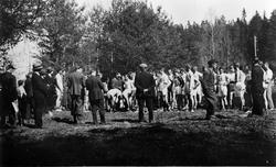 Terrengløp, Junior klasse B klar til start, kretsemesterskap