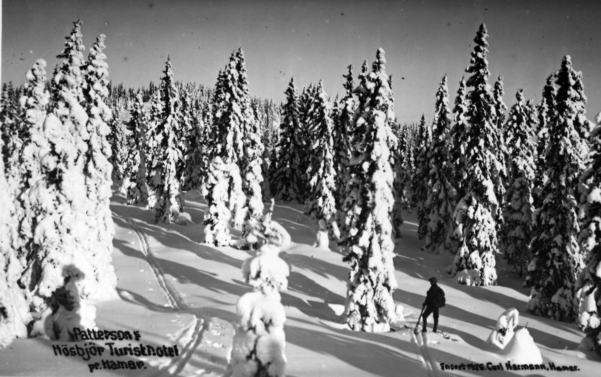 Postkort, Høsbjør, snødekt skog ved turisthotellet. Tekst "Pattersons Høsbjør Turisthotel Pr. Hamar". Tatt 1926 eller før.