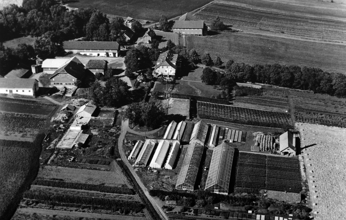 Flyfoto, Grefsheim gard, Nes, Hedmark.