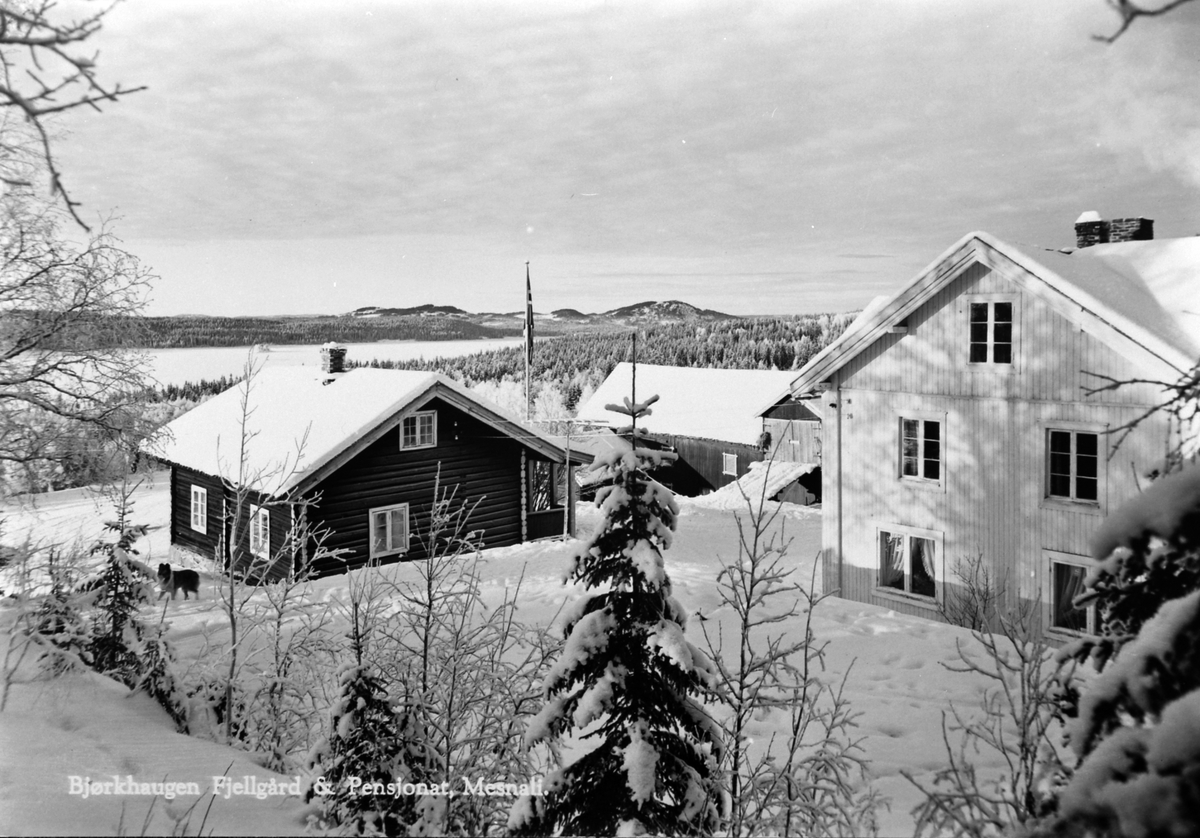 Bjørkhaugen fjellgård og pensjonat, Mesnalia, Ringsaker.