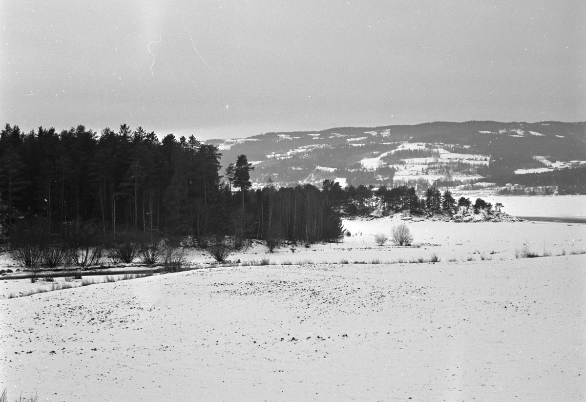 Vinterlandskap, Brennerivika, Moelv. 