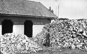 LARS VILDÅSEN KLØVER VED FORAN SKÅLEN, VEDBOD, STORE VEDHAUGER, VEDKLØYVING, HOL NORDRE