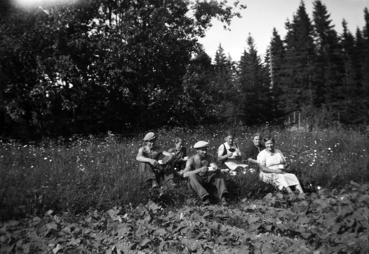 Søndre Tomter (Ner-Tomter) ca 1950. Kvile, matpause i kålrotrenskinga på Grindstuåkeren. Husa på husmannsplassen Grindstua sto like bak arbeidsfolka. F. v: Halvard Olstad, Harald Tomter, Gudmund Tomter, Pauline Bjørgli, ukjent og Anna Fløyen. 
