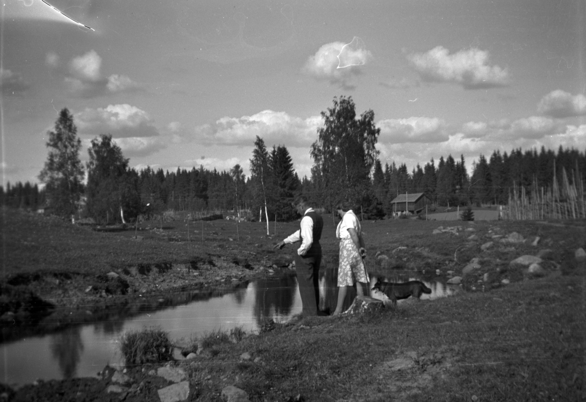 Karen f. Holstad og Gudmund Tomter (brukere på Søndre Tomter (Ner-Tomter) 1947 -72) ved Smiudammen i kulturbeitet Finborudroa ca 1950. Låven i bakgrunnen sto der husmannsplassen Grindstua var i drift fram til ca 1910. Buhunden heter ”Lita”. 