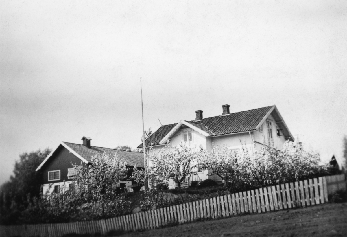 Mælum av Nedre Slemsrud. 1957