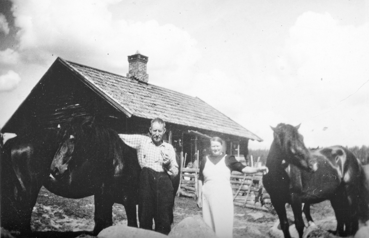 Emma og Bernhard Moløkken på Bringebu. Hester. 