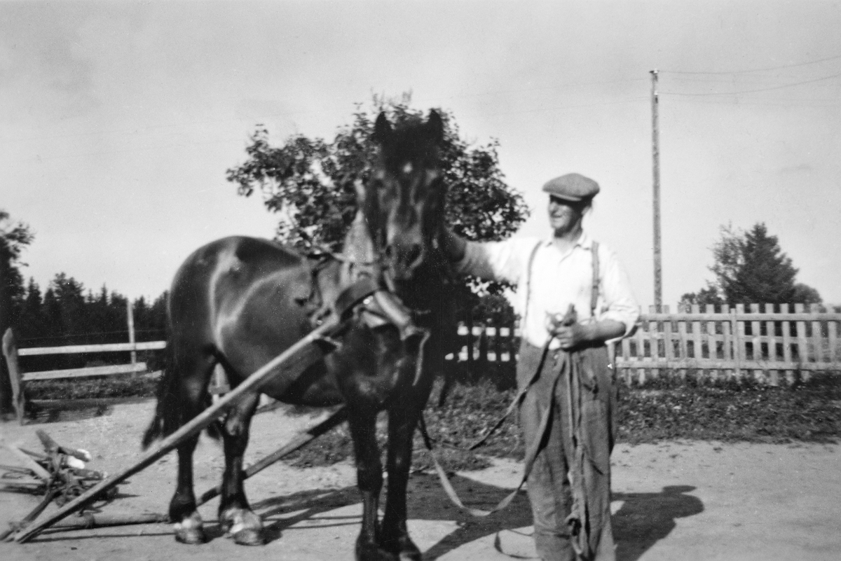 Petter Nyhagen og hesten Sokken. Sokken var en «tyskerhest» som den tyske okkupasjonsmakta hadde brukt. Petter hadde mye arbeid med å temme hesten som hadde blitt dårlig behandlet av tyskerne. Sokken ble en rolig og snill hest som aldri gikk forbi kjøkkendøra uten at det vanket en godbit. 