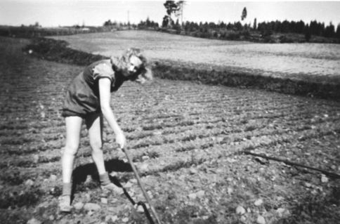 Aslaug Hagen, rensker ugras, jordbruksarbeid, Ringnes gård, Løten. At-tjeneste, arbeidstjeneste for jenter under 2. verdenskrig. 
Se artikkel i Lautin, årbok for Løten 1993. 