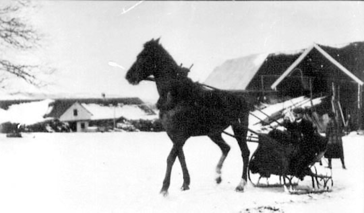 HEST MED KJØRETØY, FOLK, TUNET, SAKSLUND, SAXLUND, LÅVE, DRIFTSBYGNING, VINTER, FAMILIEN ARSTAD, SLEDE. FAMILIEN ARSTAD HADDE SAKSLUND TIL 1906. 