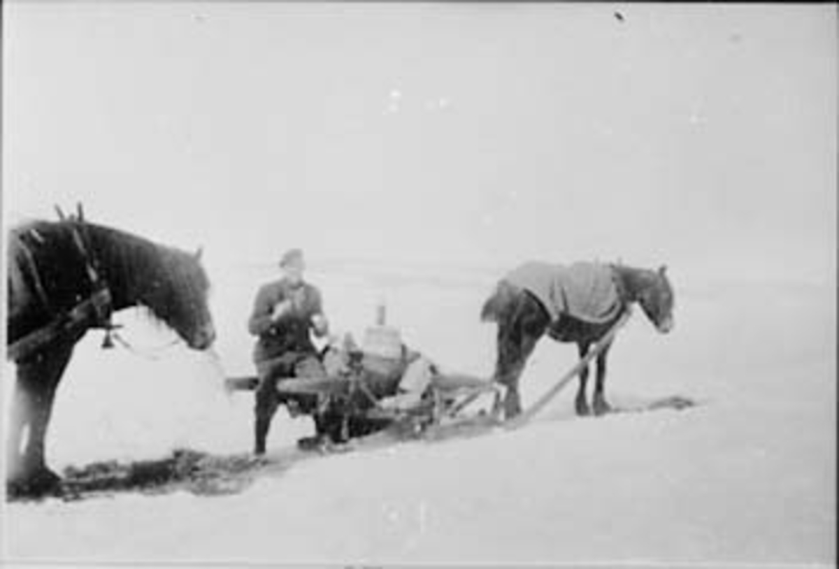 HJEMTUR FRA TØMMERKJØRING OVER ISEN, HEST MED LASS, HELGE LARSEN PÅ LASSET, VINTER, NØTTESTAD SØNDRE