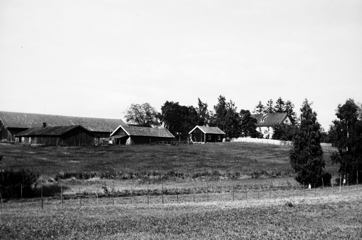 Bøverstad gard i Stange, ca. 1940. 
Se artikkel "Guttedager på Bøverstad under krigen- og årene etterpå" skrevet av Einar Lang-Ree i "Gammalt frå Stange og Romedal 2010" utgitt av Stange historielag. 
   
