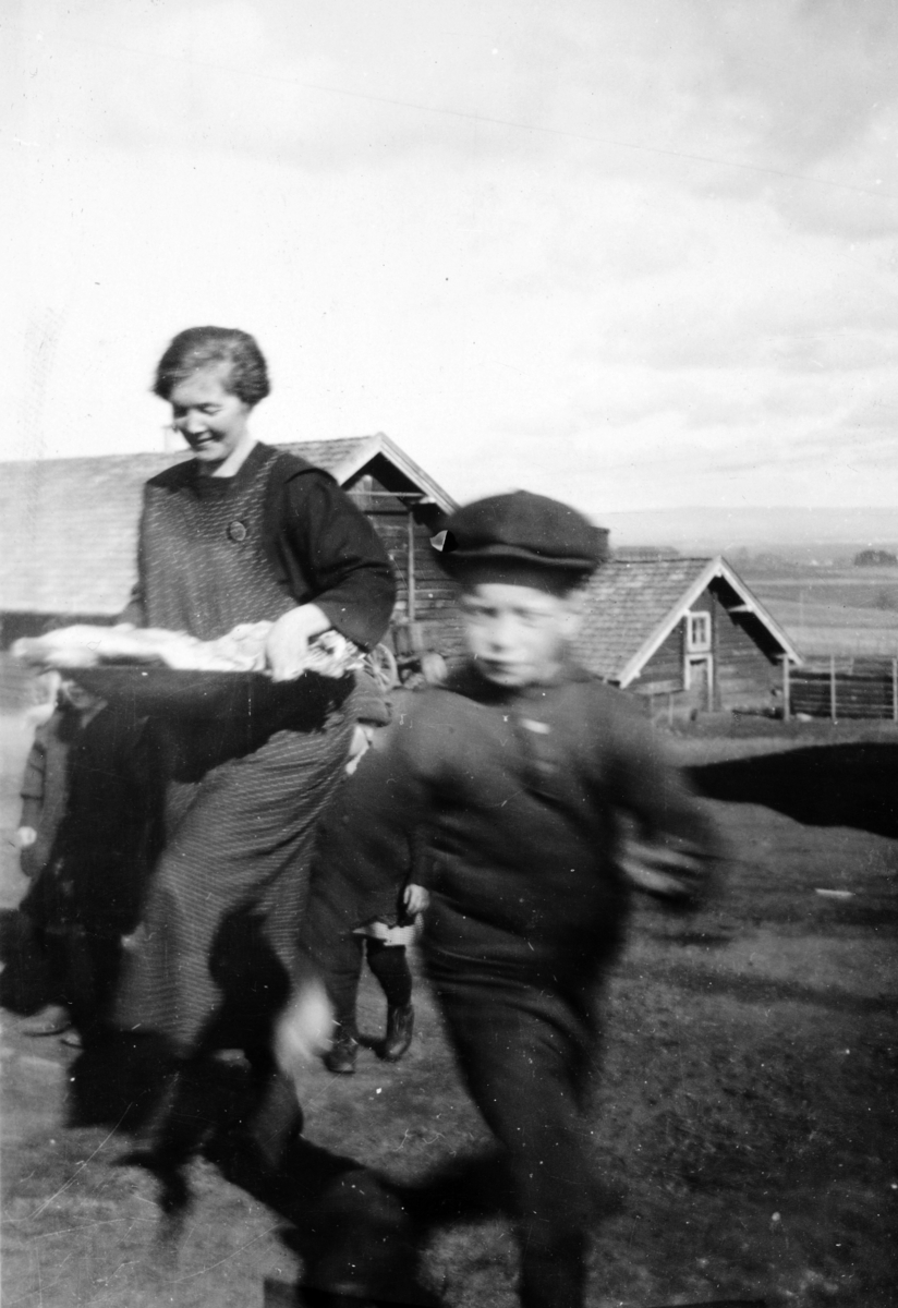 Bryhni nordre, E? Bryhnipå vei fra stabburet med trau med mat, ca 1920. 