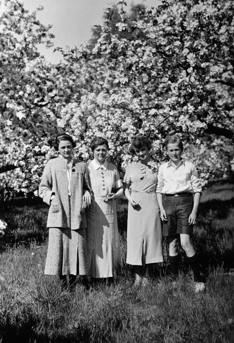 3 jenter og en gutt under blomtrene epletrær i hagen på Atlungstad gård i Stange. 