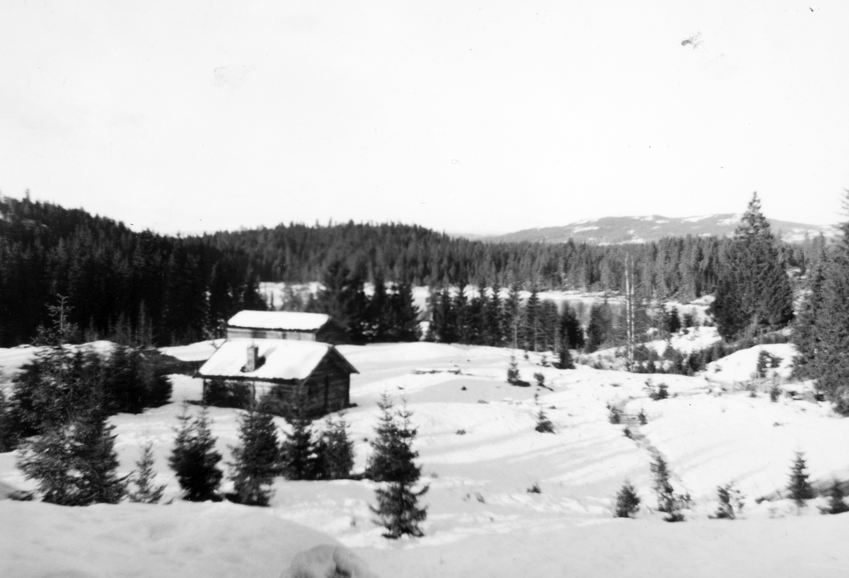 Skjesvollen, Skjesetra i Romedal Almenning, under garden Skje, Butjernet i bakgrunnen. 