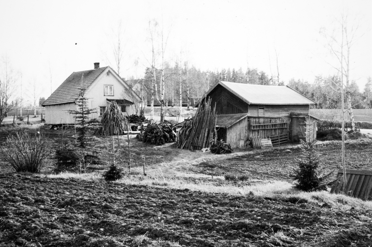 Rønningsbakken, småbruk på Kolomoen
