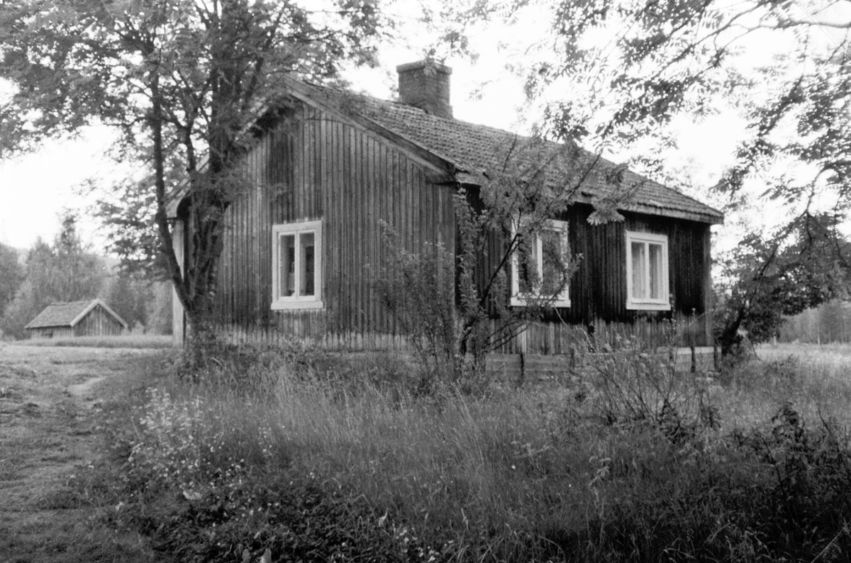 Fra Sveum i Vallset, sommeren 1978. Ei lita tømret stue med 3 små rom, men panelt senere både ut og innvendig. En ser her husets nord og vestside. Opprinnelig sto denne stua sammen med flere lignende oppsatt på garden Opsal i Vallset til utleie for trengende før 1900. Da det gamle huset i Sveum brant på slutten av 1800, fikk de kjøpt denne som de flyttet og satte opp igjen