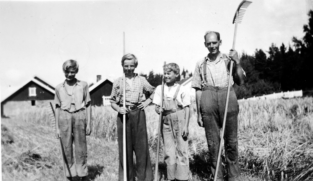 Torødegården, slåttonn, ca. 1950. 
 F. v Kristian Engevold, Olav Lundby, Arne Engevold og Ole Engevold med river. 