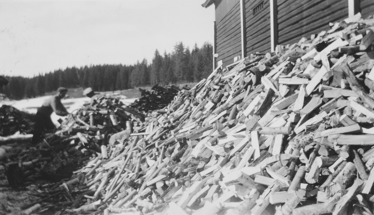 Torødegården, Tangen. Vedhaug. Gunnar Lundby og Erik Johnsen sager ved. Vedfyring, brensel. 