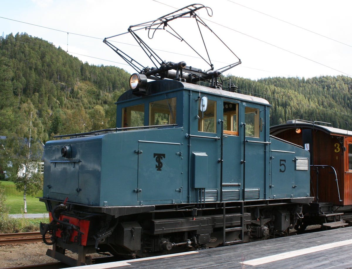 Elektrisk utrustning: Norsk Elektrisk Brown Boweri 
Mekanisk utrustning: Skabo Jernbanevognfabrikk 
Levert år: 1950 
Akselrekkefølge: Bo 
Transformator: 225 kVa 
Antall motorer: 2 
Motortype: ELM 1380 st. 
Ytelse: 240 hk 
Maksimumhastighet: 60 km/t 
Trekkraft: 200 tonn 
Lengde: 6920 mm 
Vekt: 22 tonn 
Ø drivhjul: 850 mm 
