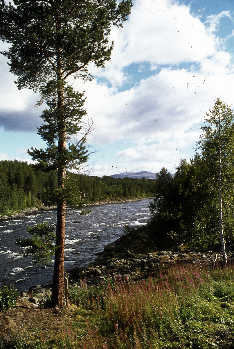 Landskap