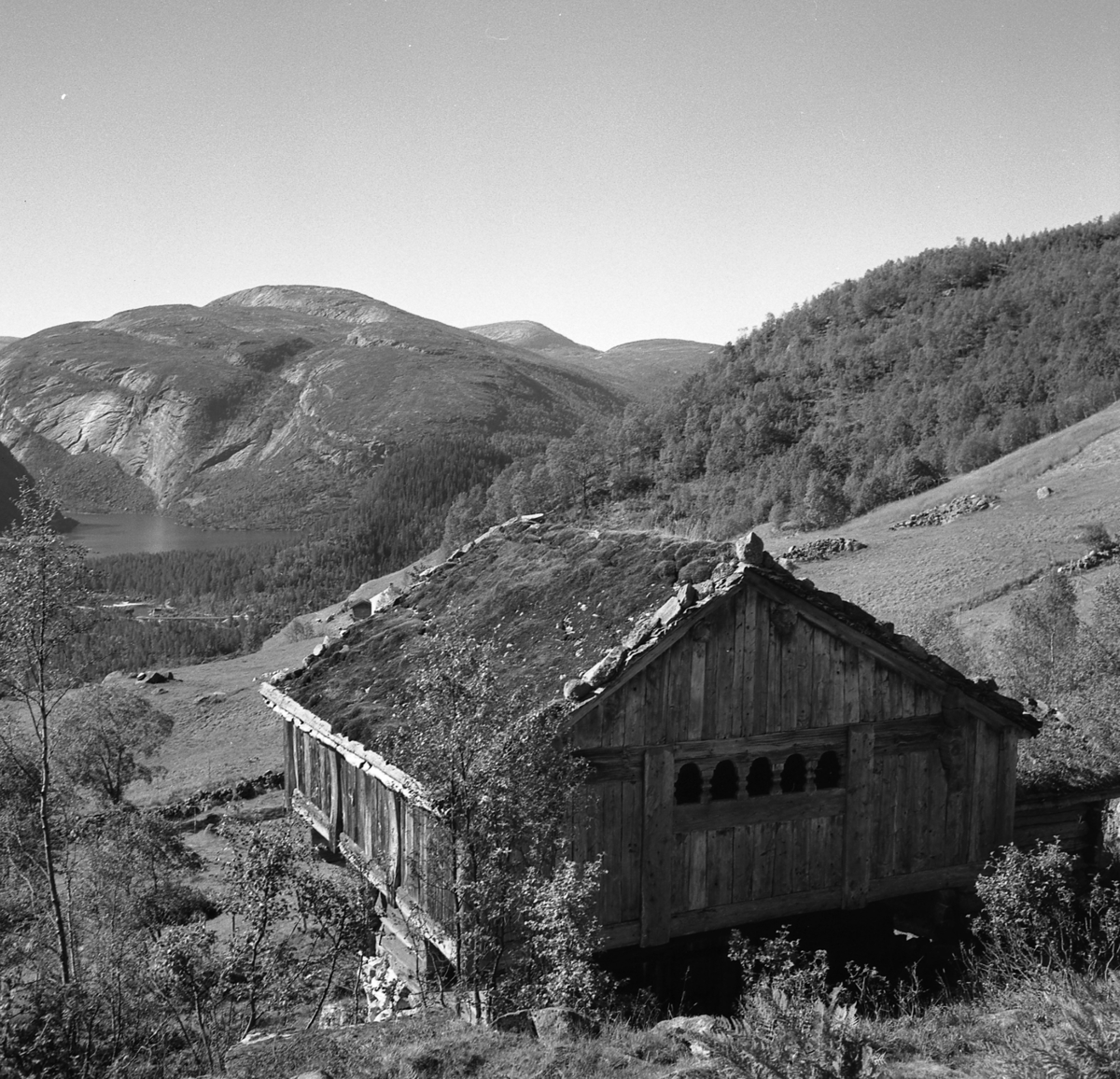 Fra Setesdal