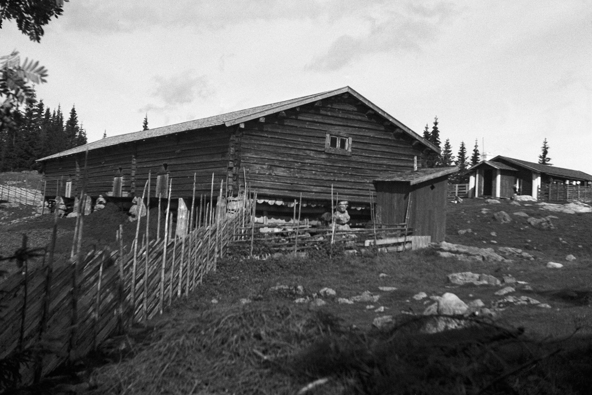 BUSVOLDSETRA. ROMEDAL ALLM, Stange. FJØS. UTEDO. 