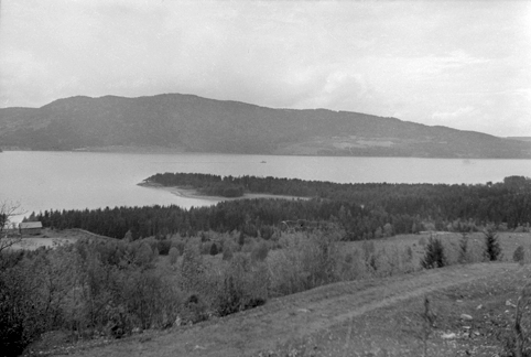 LANGODDEN, FURNES, Ringsaker. UTSIKT, LANDSKAP. 