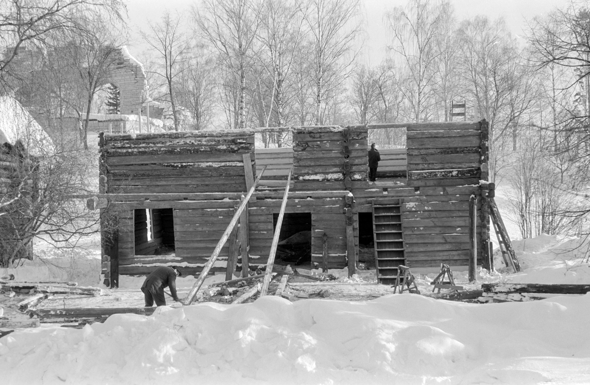 Grimsrudbygningen fra Helgøya restaureres på Hedmarksmuseet. Museumshåndverkere i arbeid. Utskifting av tømmer. 