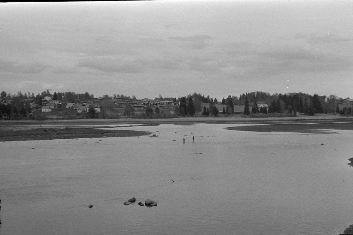 SVARTELVA, FISKEPLASS, FISKEINNRETNING, ÅKERSVIKA, Hamar, 15. 05. 1971, FOTO: P. M. T. 