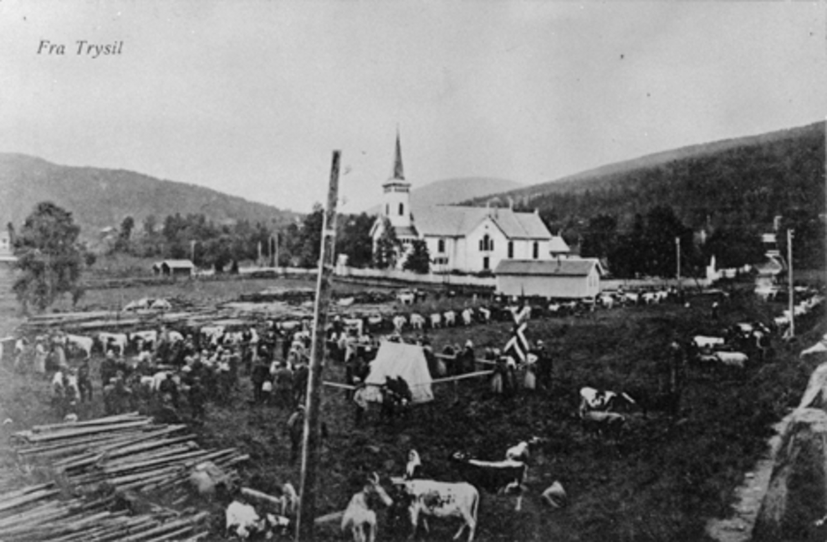 POSTKORT, TRYSIL, KIRKE, FESJÅ, DYRESKUE, UTSTILLING. 