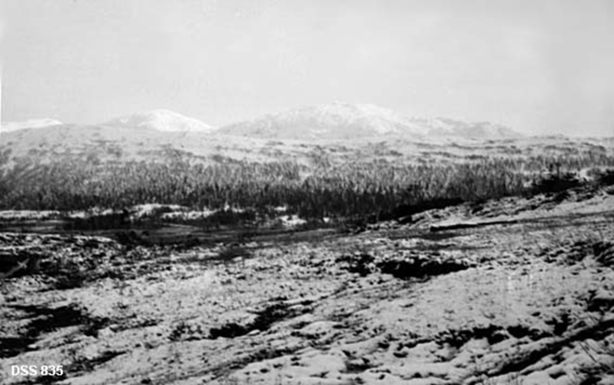 Utsikt fra fjellovergangen mellom Fiplingdalen og Svenningdalen på Sør-Helgeland.  Dette er høyre del av et todelt "panoramaopptak".  I forgrunnen en skråning med delvis snødekt lyngvegetasjon. Bakenfor en fjellrygg med barskog rundt foten.