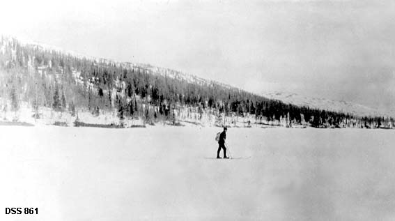 Vinterlandskap ved Øvre Fiplingvatn.  Fotografiet er tatt over ei is- og snødekket vannflate.  Langs stranda vokser det glissen gran- og bjørkeskog. 